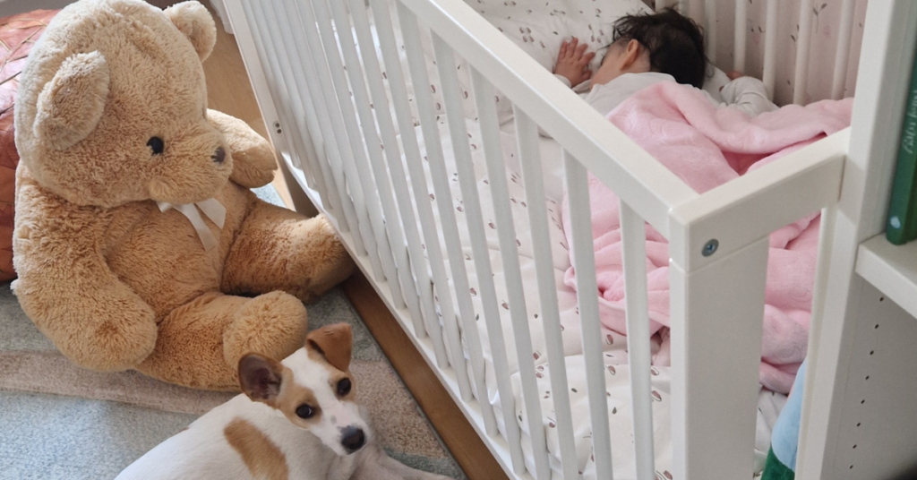 A dog lying beside a baby crib on adoption day, next to a large teddy bear, while a toddler sleeps inside wrapped in a pink blanket.