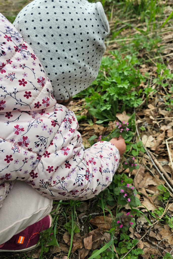 A toddler sitting outdoors exploring leaves and plants on the ground, discovering nature through touch as part of everyday toddler sensory activities.