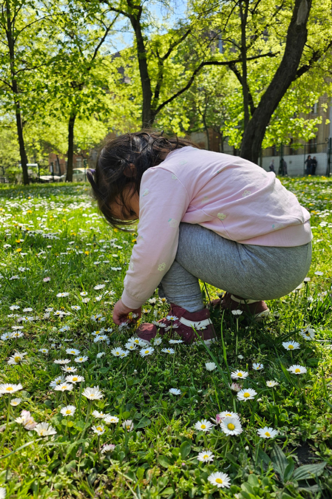 A toddler crouching in a meadow full of daisies, picking flowers with both hands, enjoying one of the simplest and most joyful toddler sensory activities in nature.