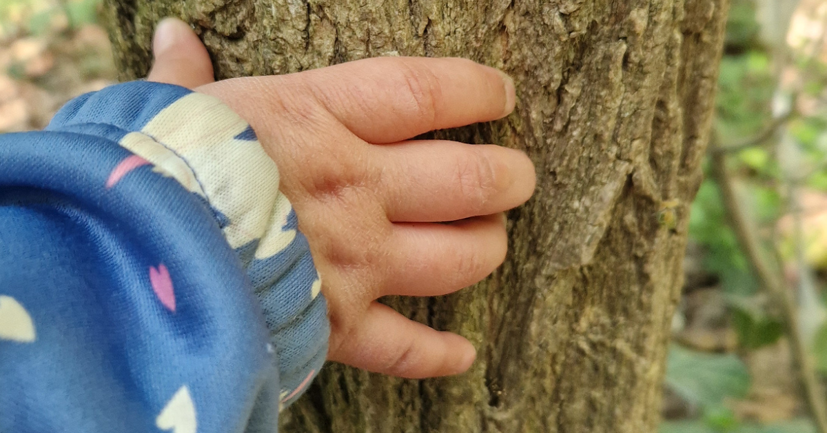 A toddler's small hand exploring tree bark in a forest, a perfect example of toddler sensory activities in nature, wearing a blue funicorn sleeve, discovering the natural world through touch for the first time.